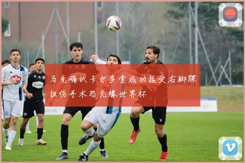 马竞确认卡尔多索成功接受右脚踝扭伤手术恐无缘世界杯